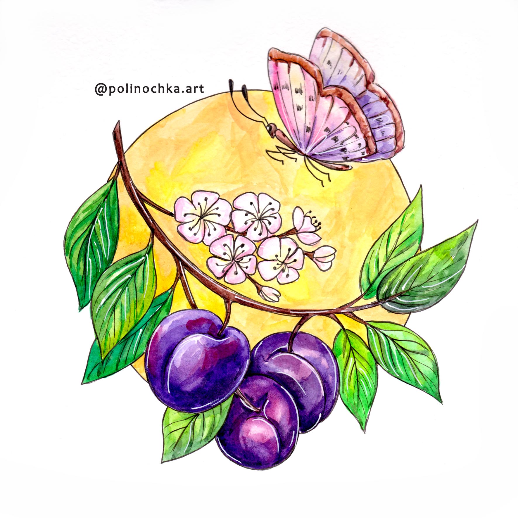 Фрукты и цветы