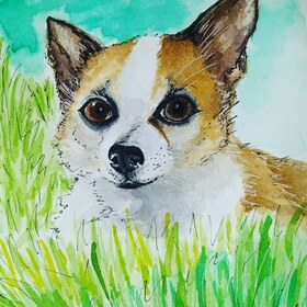 Любимые питомцы