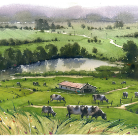 Заливные луга