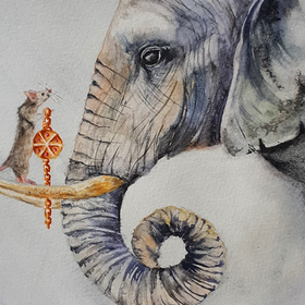 Иллюстрации