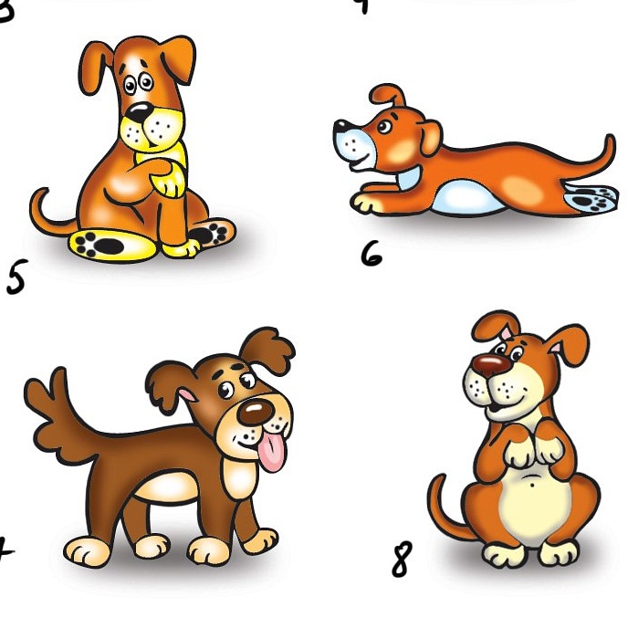 Img 20170808 020904 599