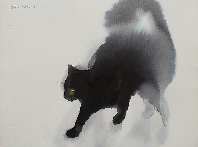 Black cats 01