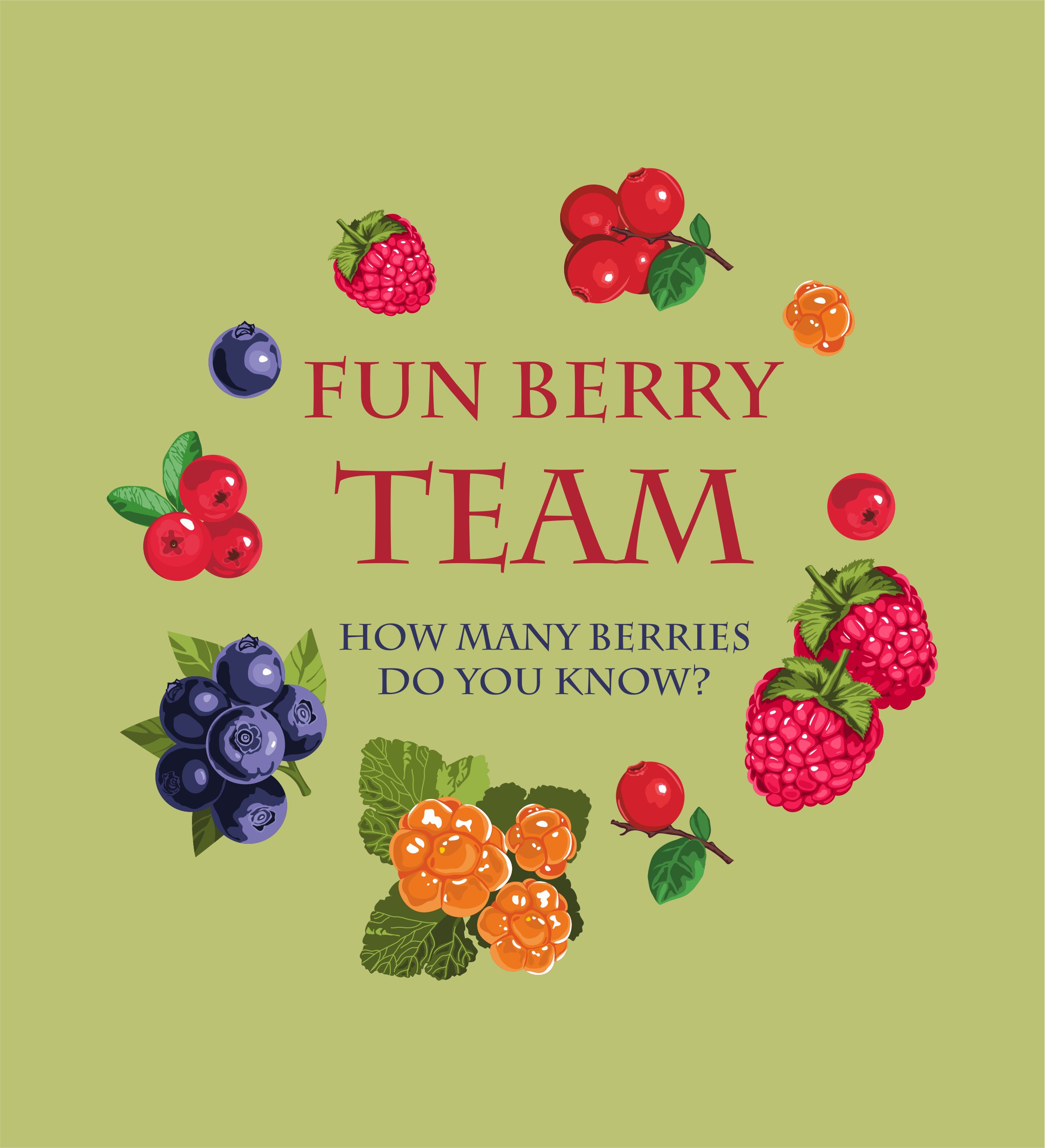 Fun berry team2