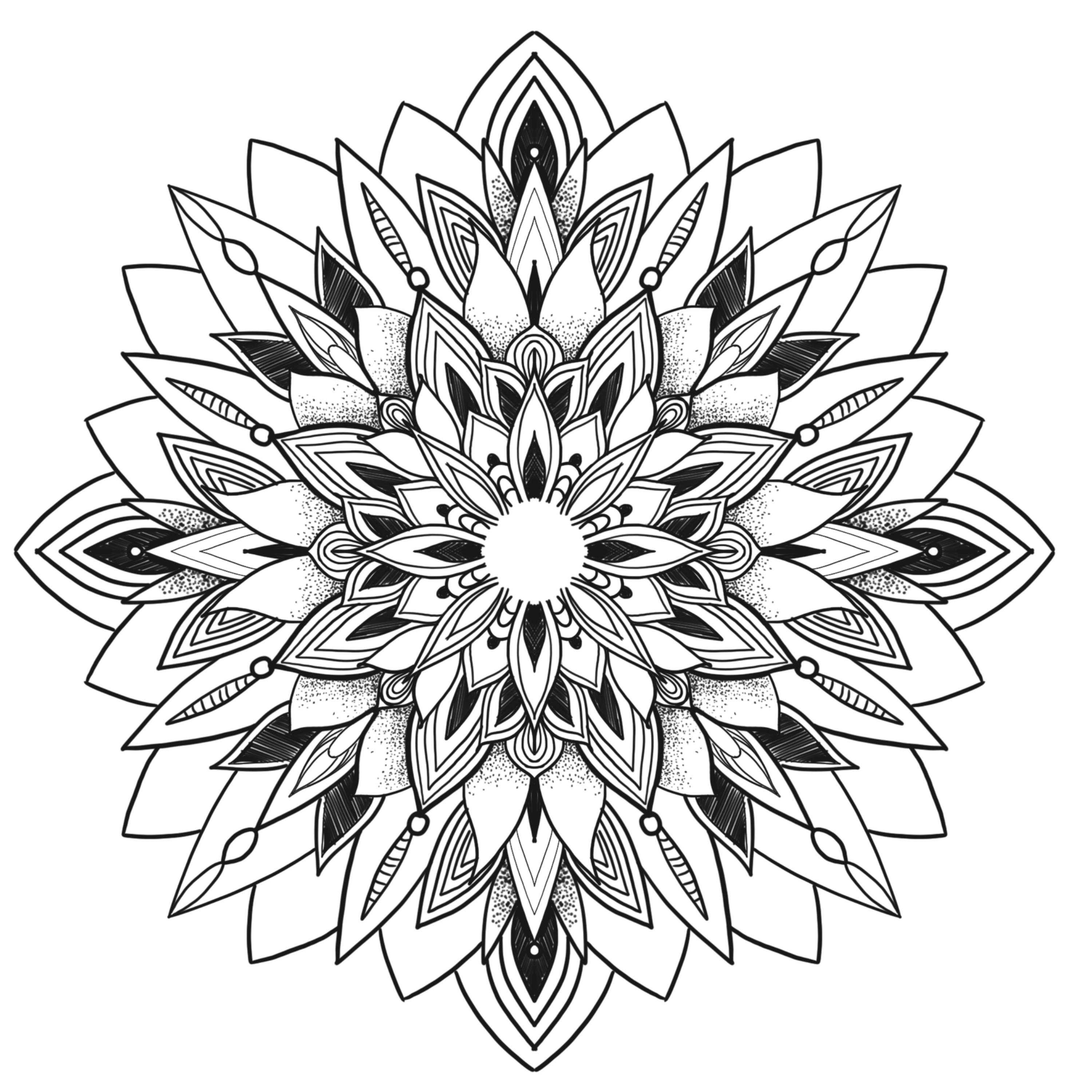 198227f4 62a5 4993 98d6 d470dfc36a60