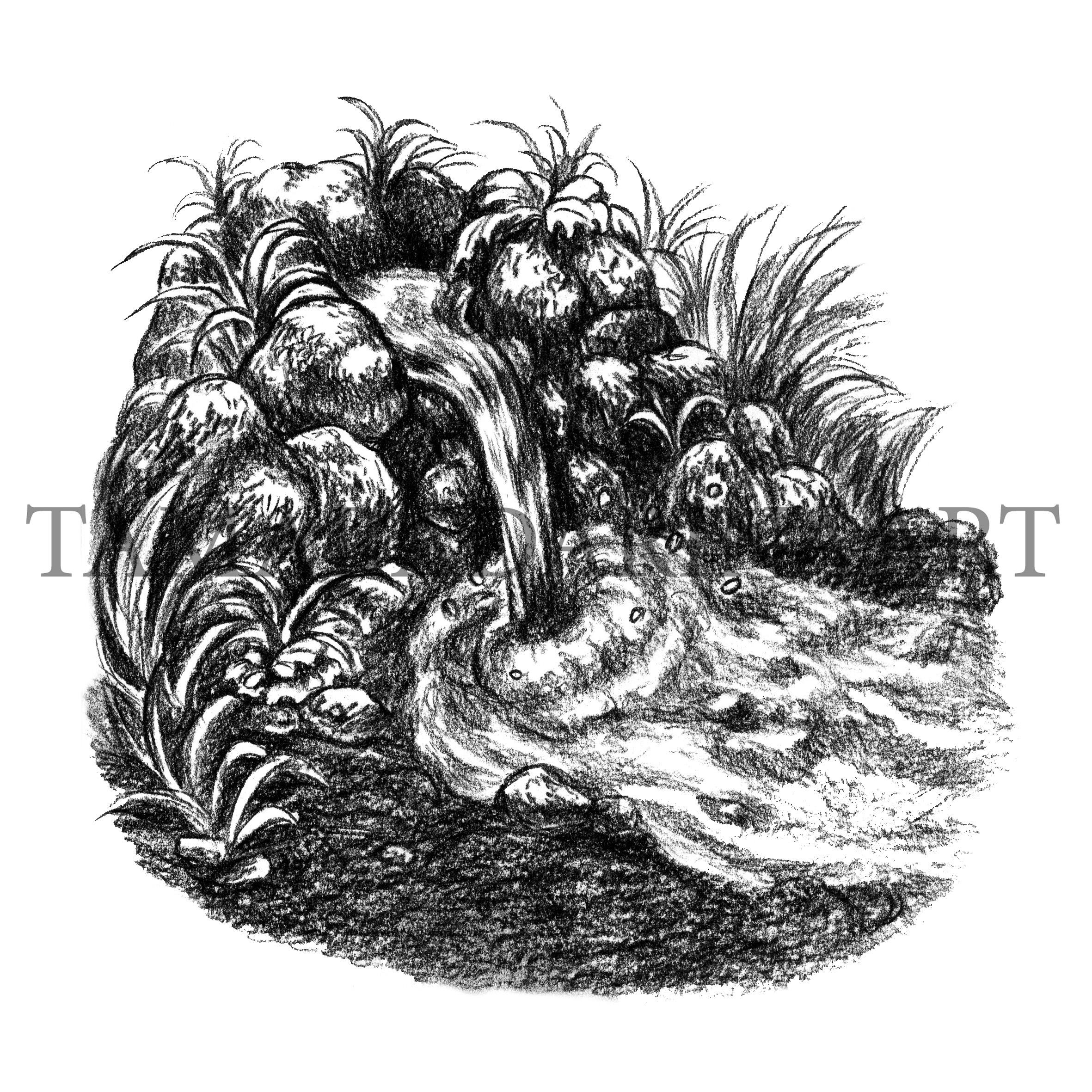 %d0%a0%d0%be%d0%b4%d0%bd%d0%b8%d0%ba.%d0%b2%d0%b7.