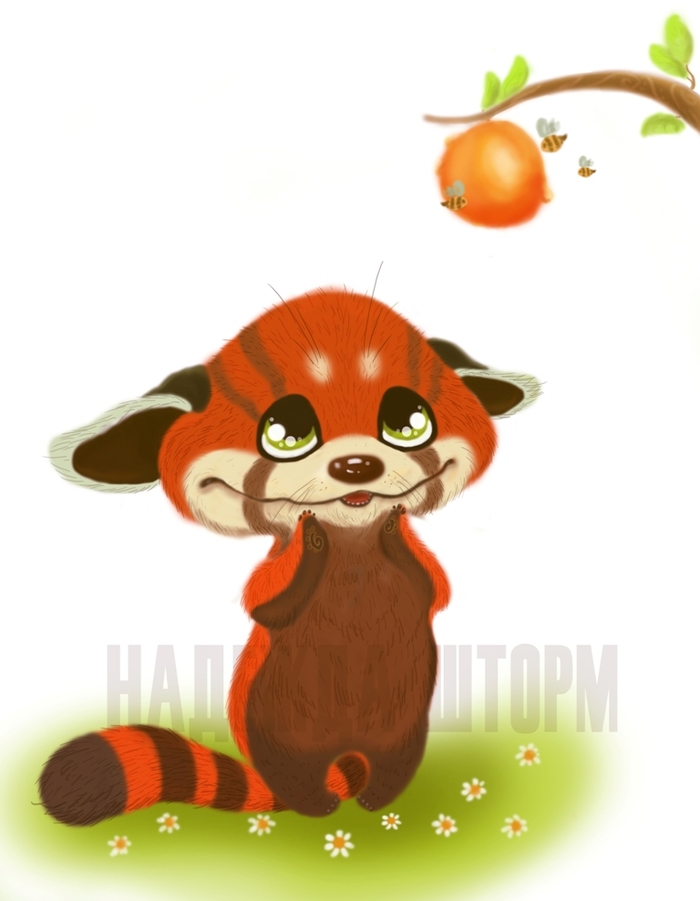 Main %d0%ba%d1%80%d0%b0%d1%81%d0%bd%d0%b0%d1%8f %d0%bf%d0%b0%d0%bd%d0%b4%d0%b0 %d1%81 %d0%b2%d0%be%d0%b4.%d0%b7%d0%bd%d0%b0%d0%ba%d0%be%d0%bc