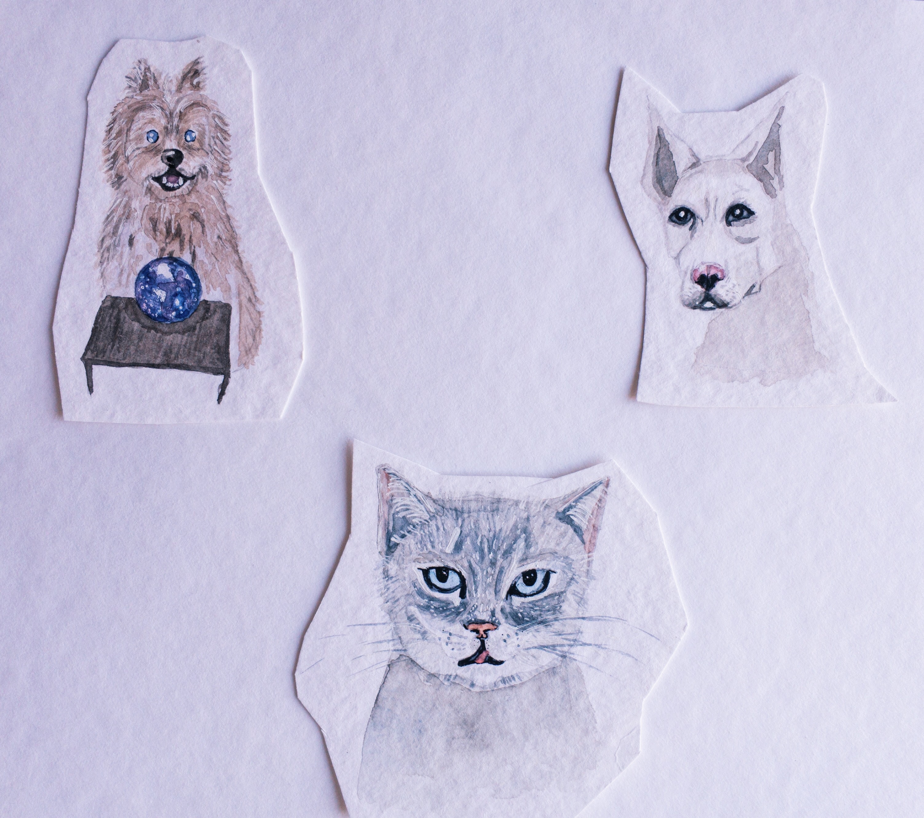 47d7b5ef 2382 4aff 905b 2648ded76a40