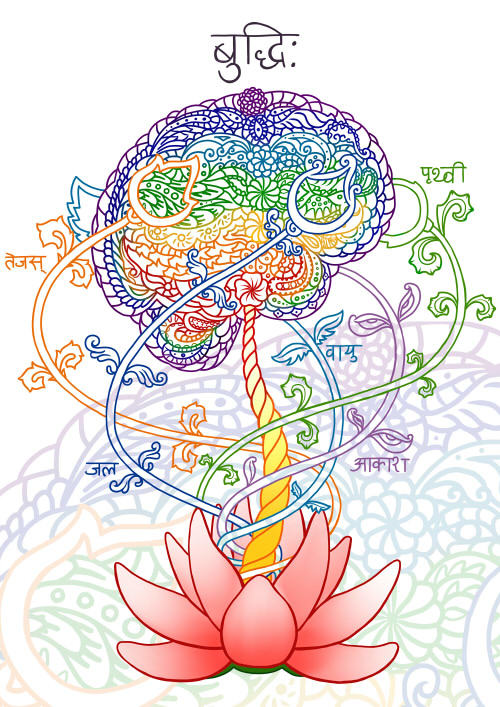 Main lotus brain