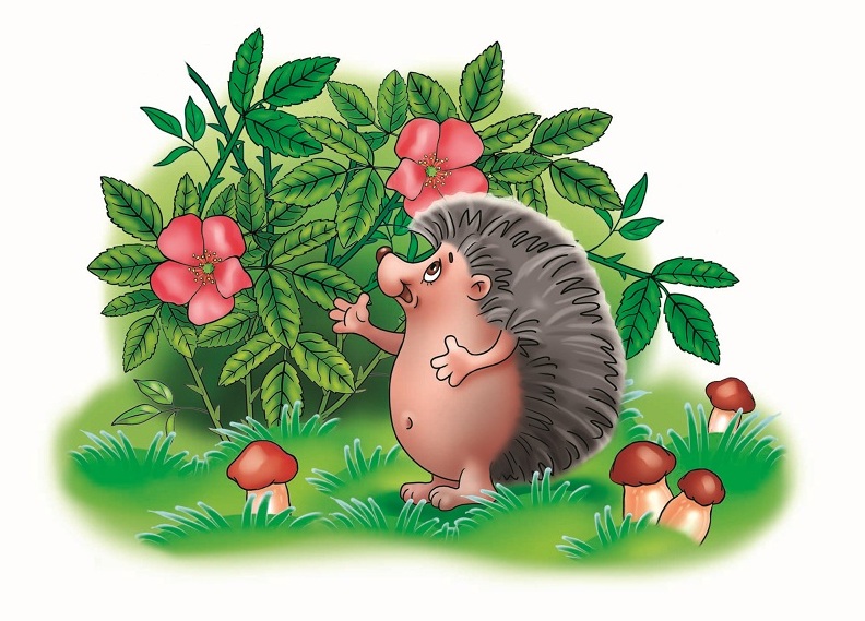 %d0%81%d0%96%d0%98%d0%9a