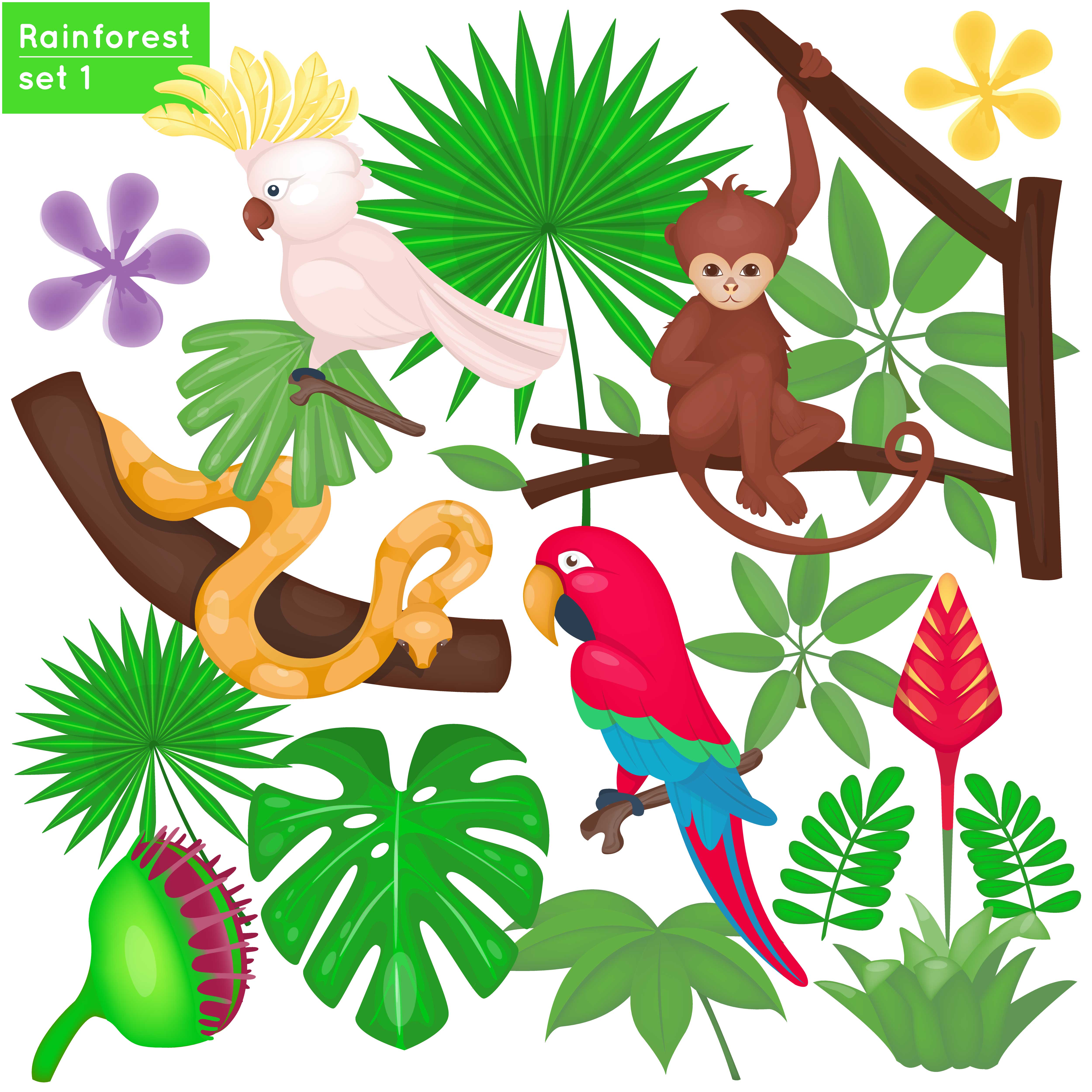 Набор экзотические джунгли для детей