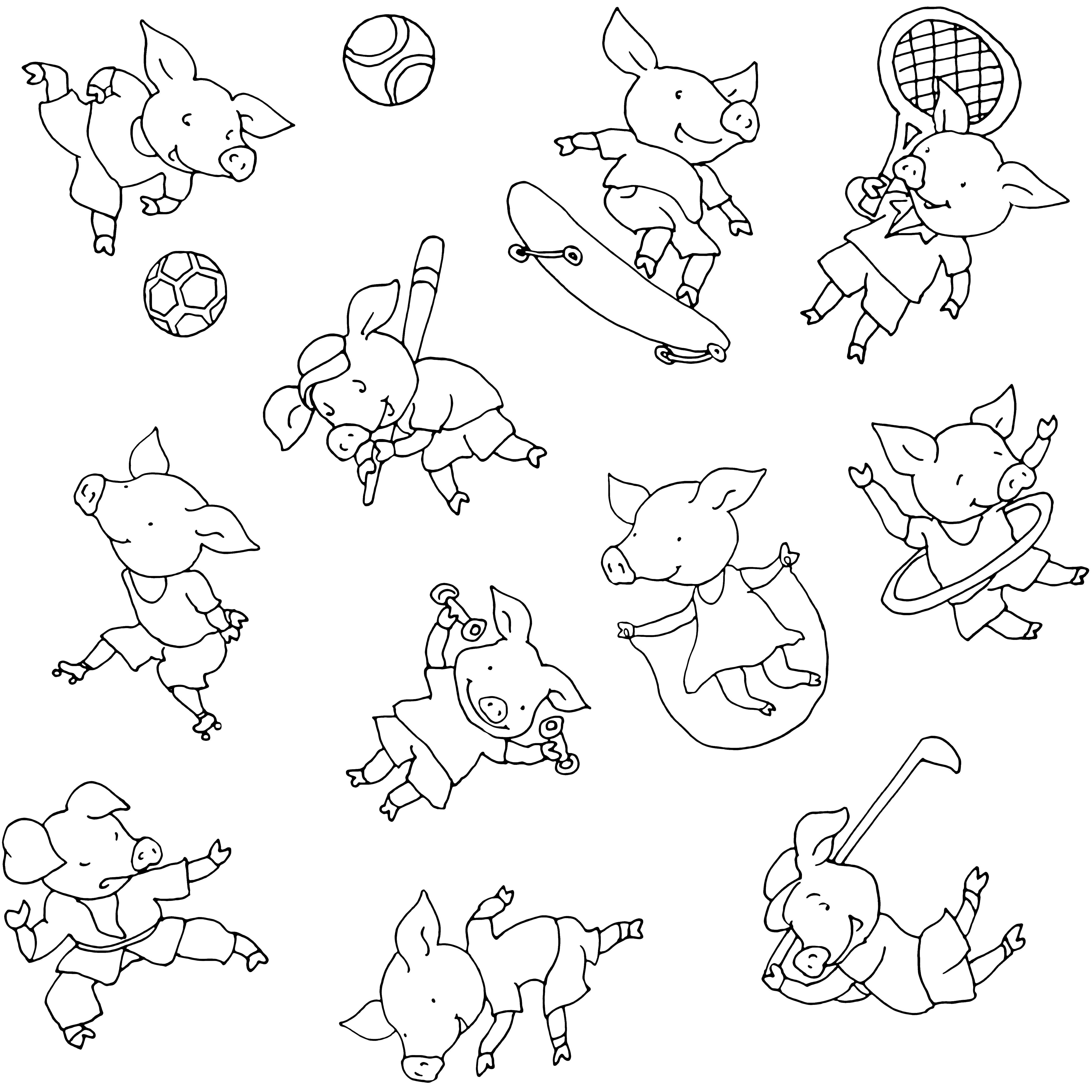 Pig sport pattern