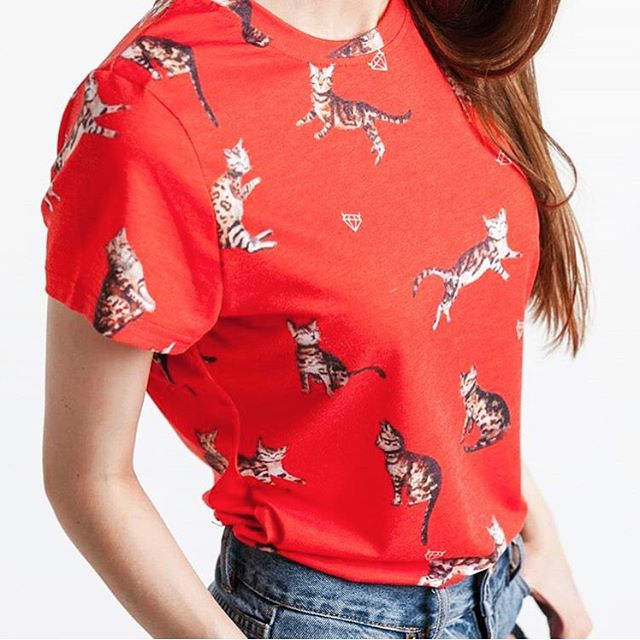 41021659 144107479861591 4052291593807072906 n