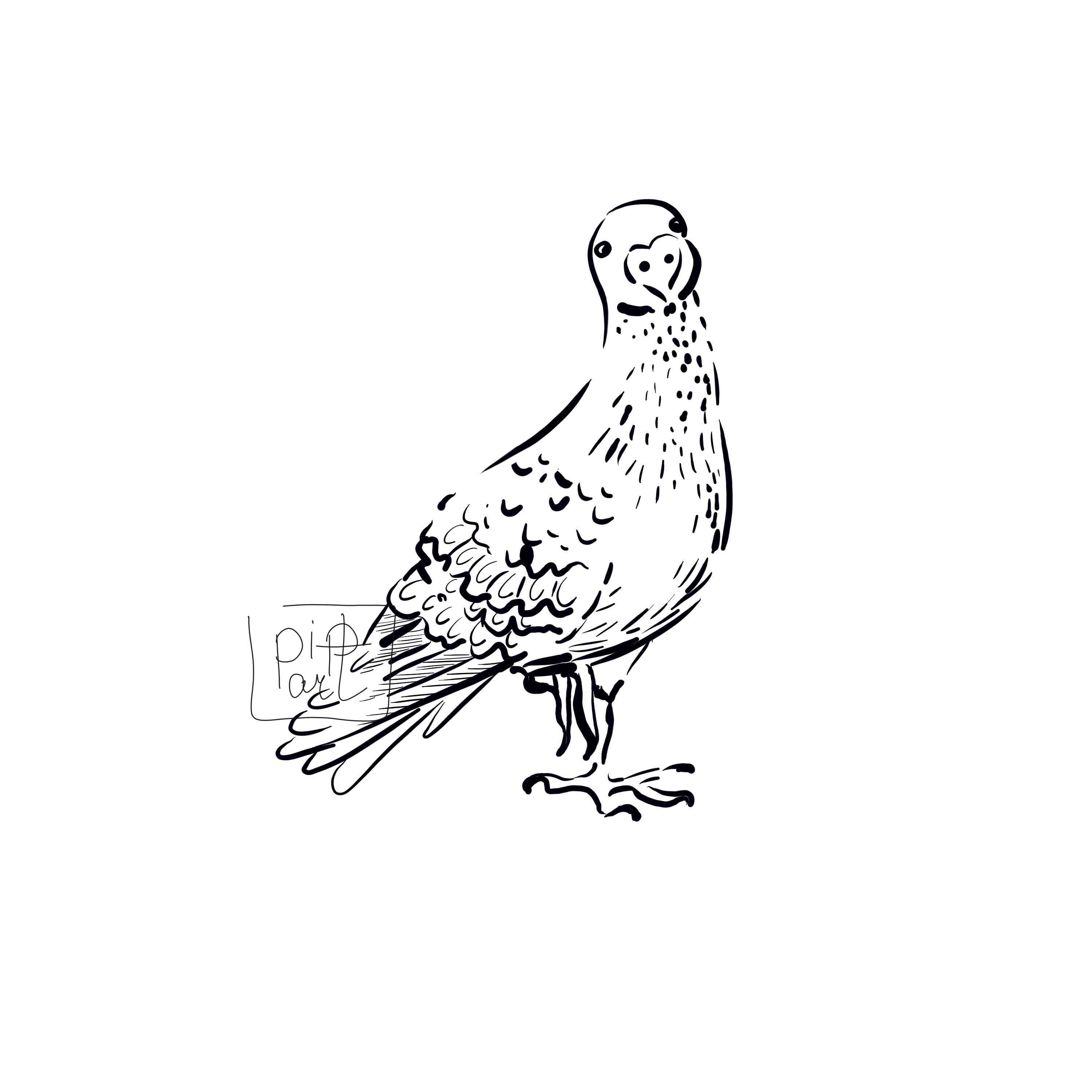 %d0%b3%d1%83%d0%bb%d1%8f 11