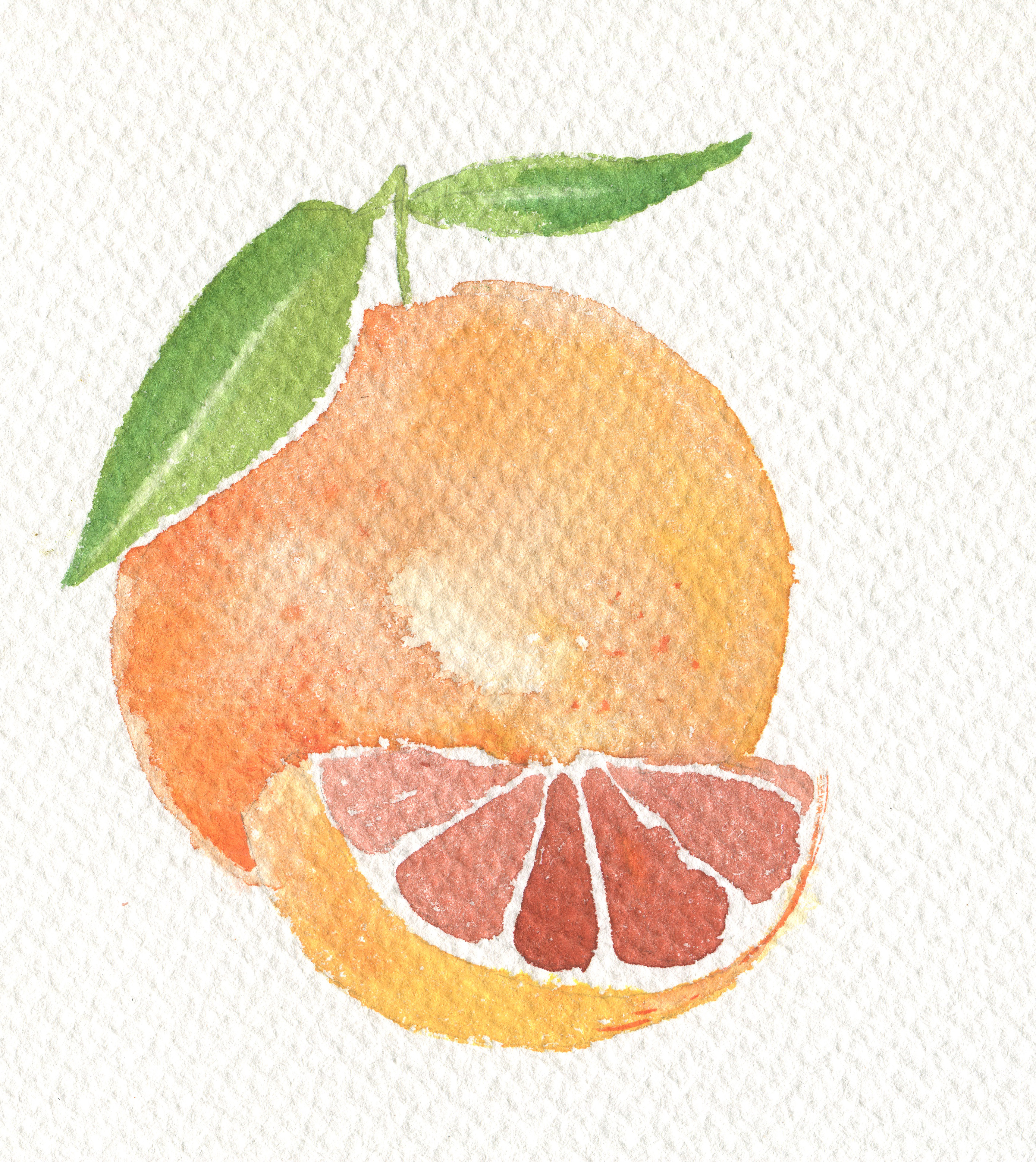 Grapefruit  1 