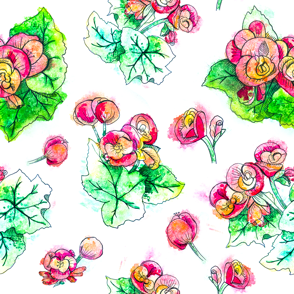 31 seamless watercolour pattern with begonia flowers