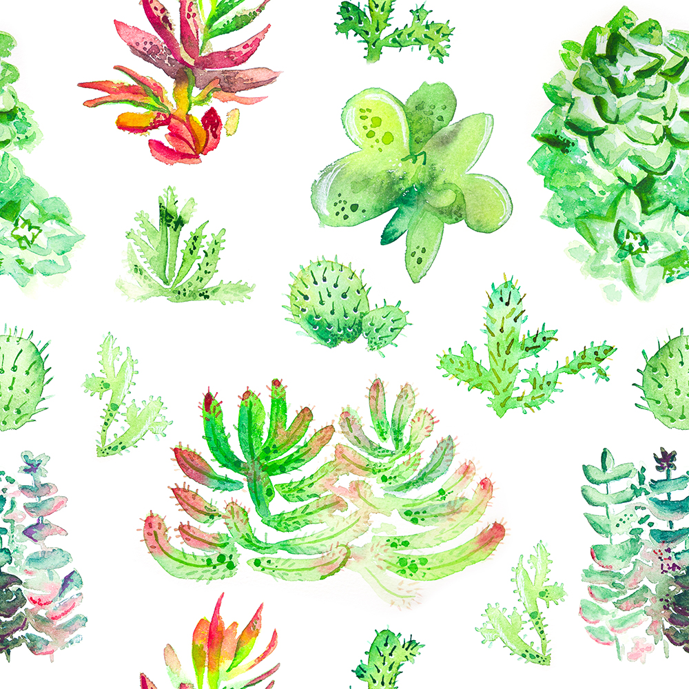 34 watercolour seamless colourful pattern with cactuses