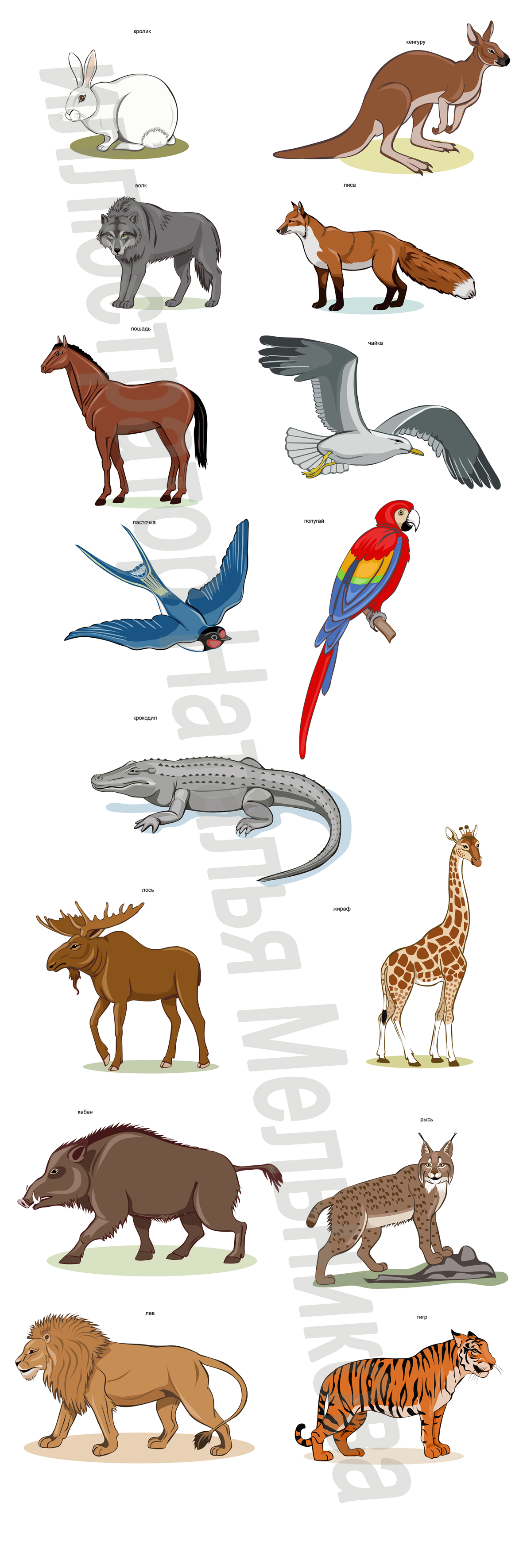 %d0%96%d0%b8%d0%b2%d0%be%d1%82%d0%bd%d1%8b%d0%b5 2