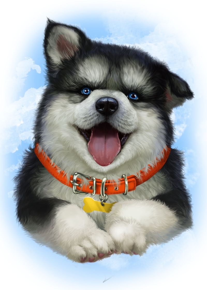 %d0%bf%d1%80%d0%b8%d0%bd%d1%82 %d1%85%d0%b0%d1%81%d0%ba%d0%b8 %d0%bf%d0%be%d1%80%d1%82%d1%84%d0%b5%d0%bb%d1%8c