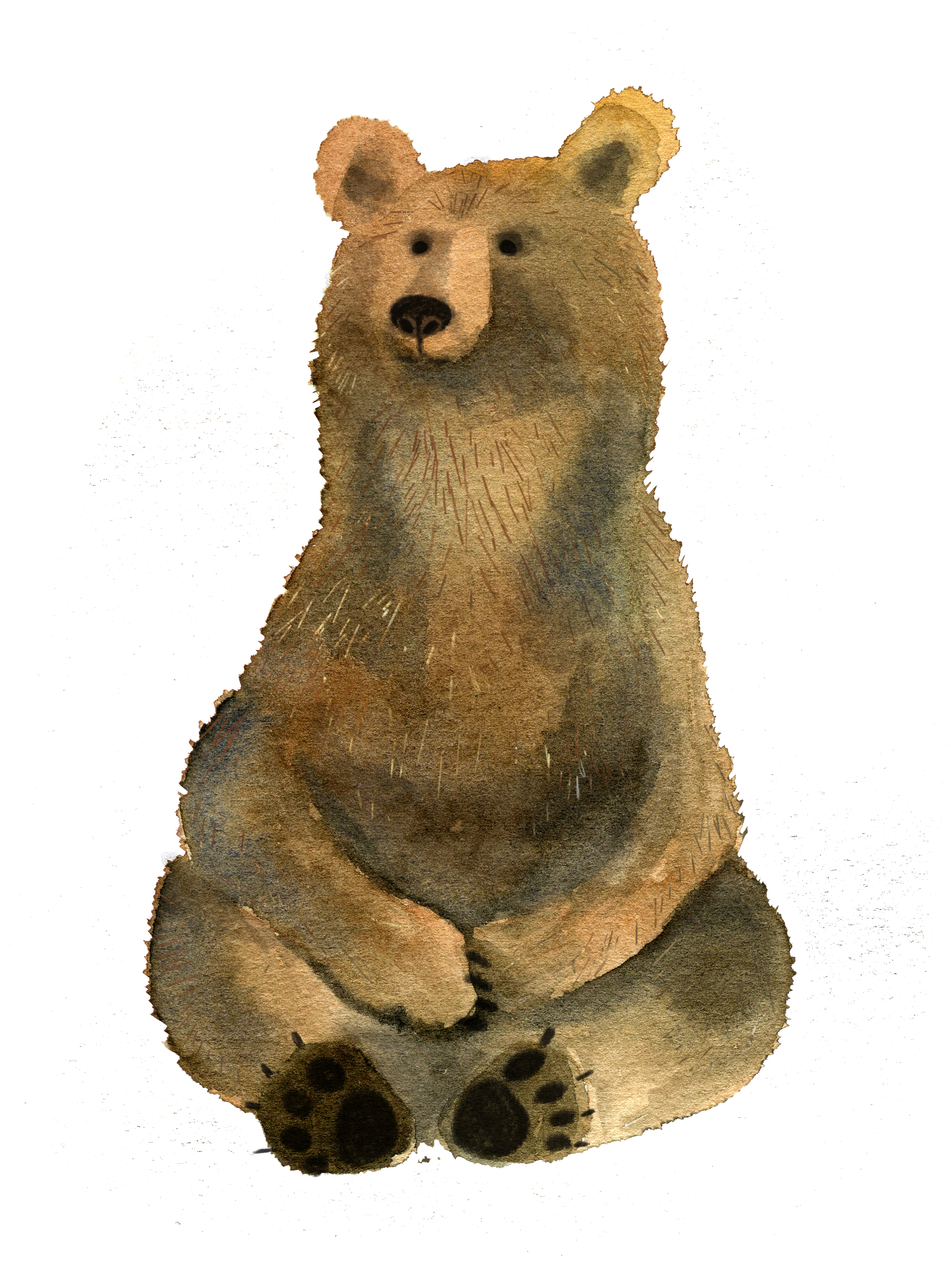 %d0%bc%d0%b5%d0%b4%d0%b2%d0%b5%d0%b4%d1%8c