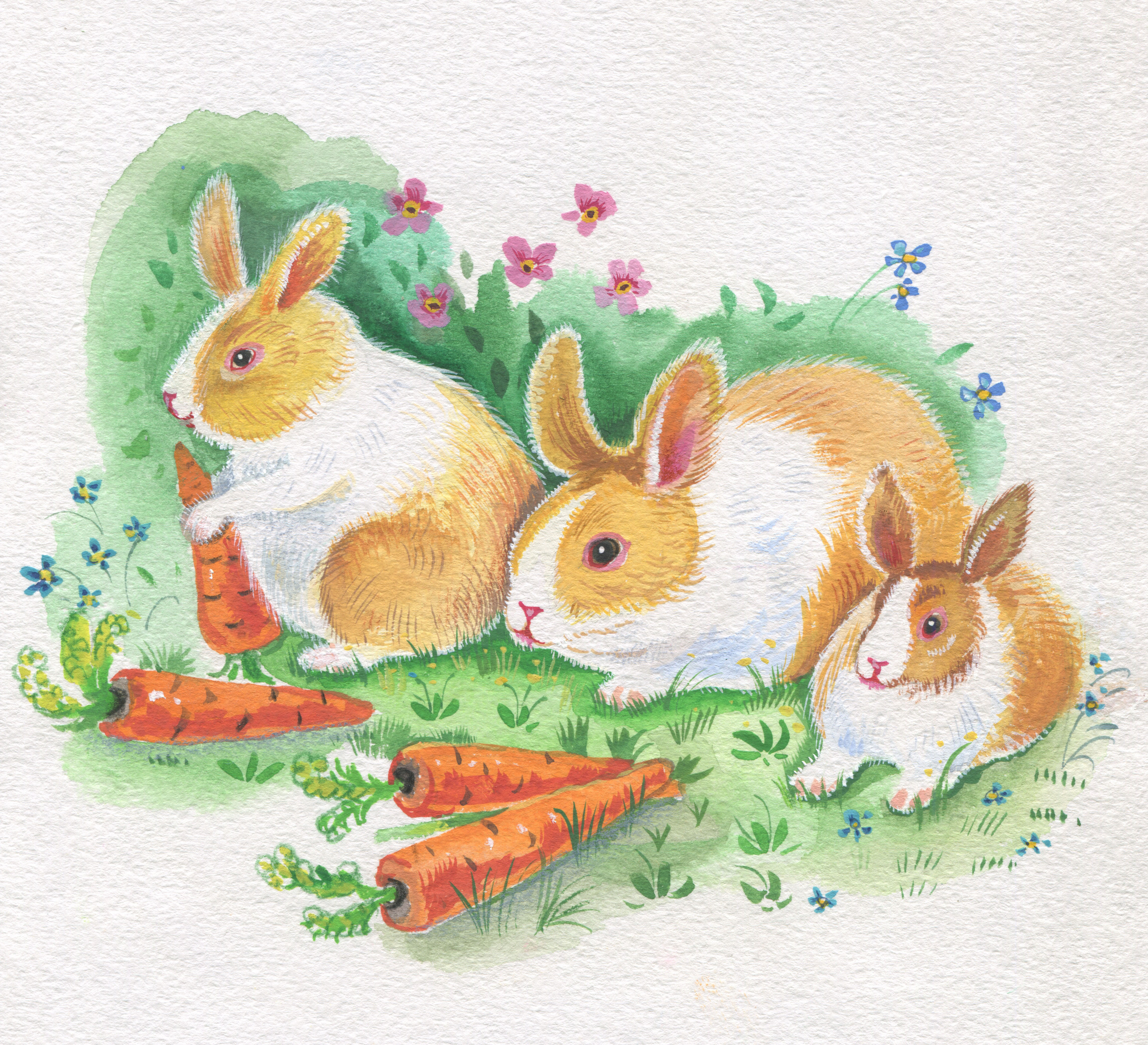 Кролик и морковь - иллюстрации
