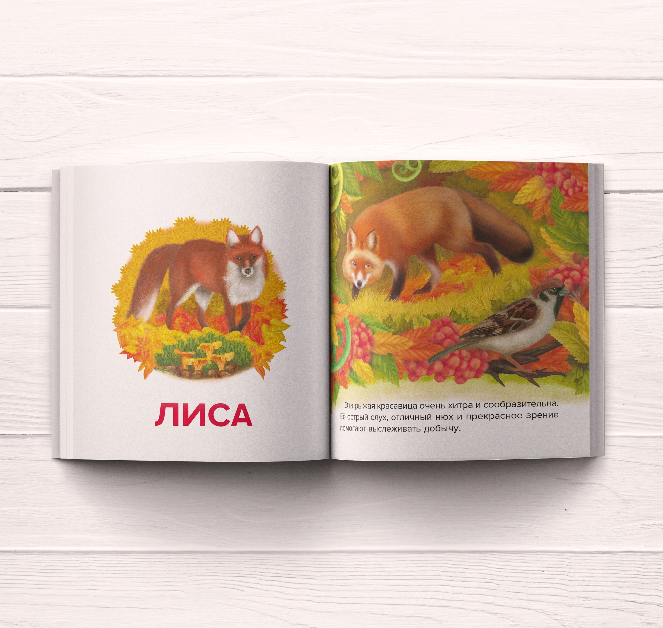 %d0%bf%d1%80%d0%b8%d0%bc%d0%b5%d1%803