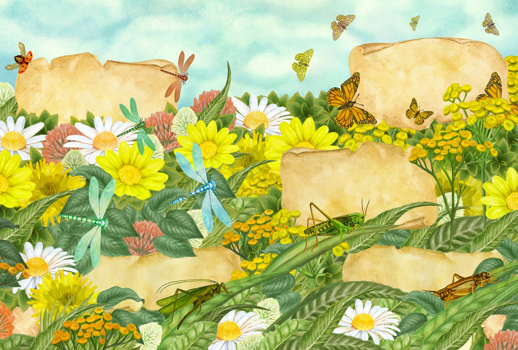 %d0%bf%d1%80%d0%b8%d0%bc%d0%b5%d1%80