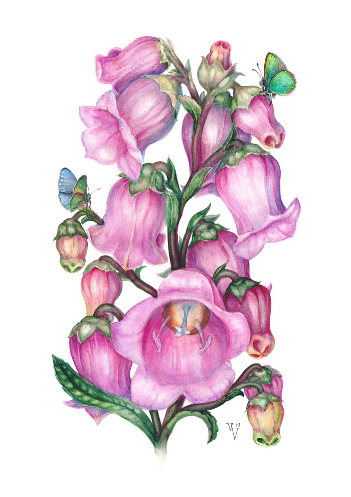 Main %d0%b0%d0%b7%d0%be%d1%80%d0%b8%d0%bd%d0%b0 %d0%be%d1%82%d0%ba%d1%80%d1%8b%d1%82%d0%ba%d0%b8  1 