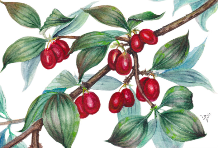 Main %d0%ba%d0%b0%d0%b8%d0%b7%d0%b8%d0%bb %d0%be%d1%82%d0%ba%d1%80%d1%8b%d1%82%d0%ba%d0%b0