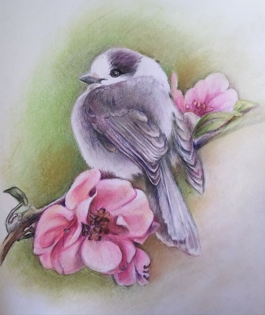 Inbound2850758839870554696