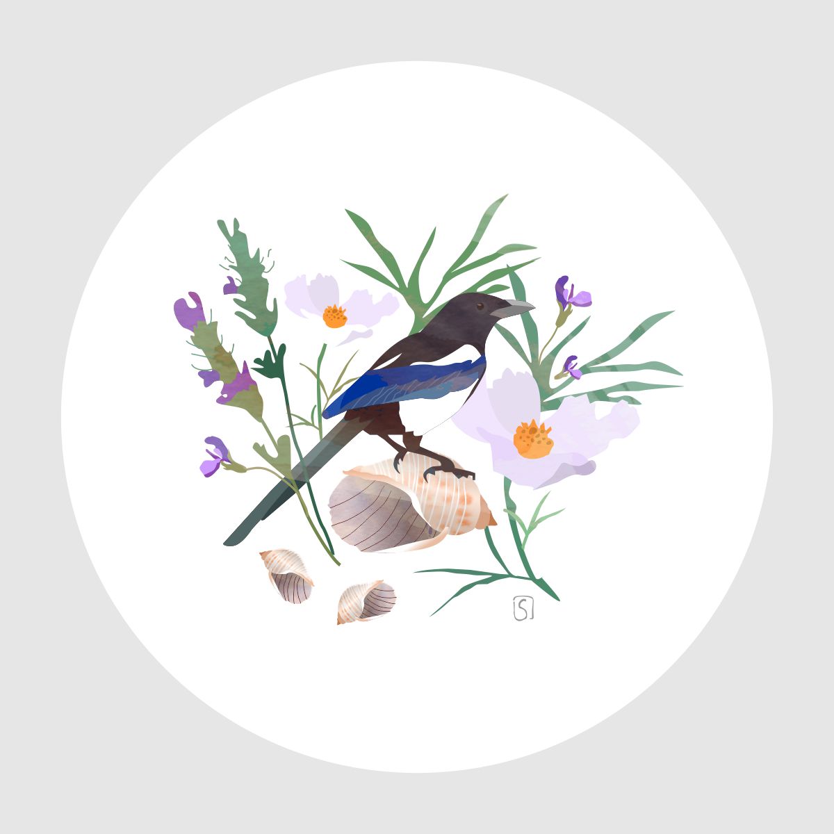 %d1%81%d0%be%d1%80%d0%be%d0%ba%d0%b0 new