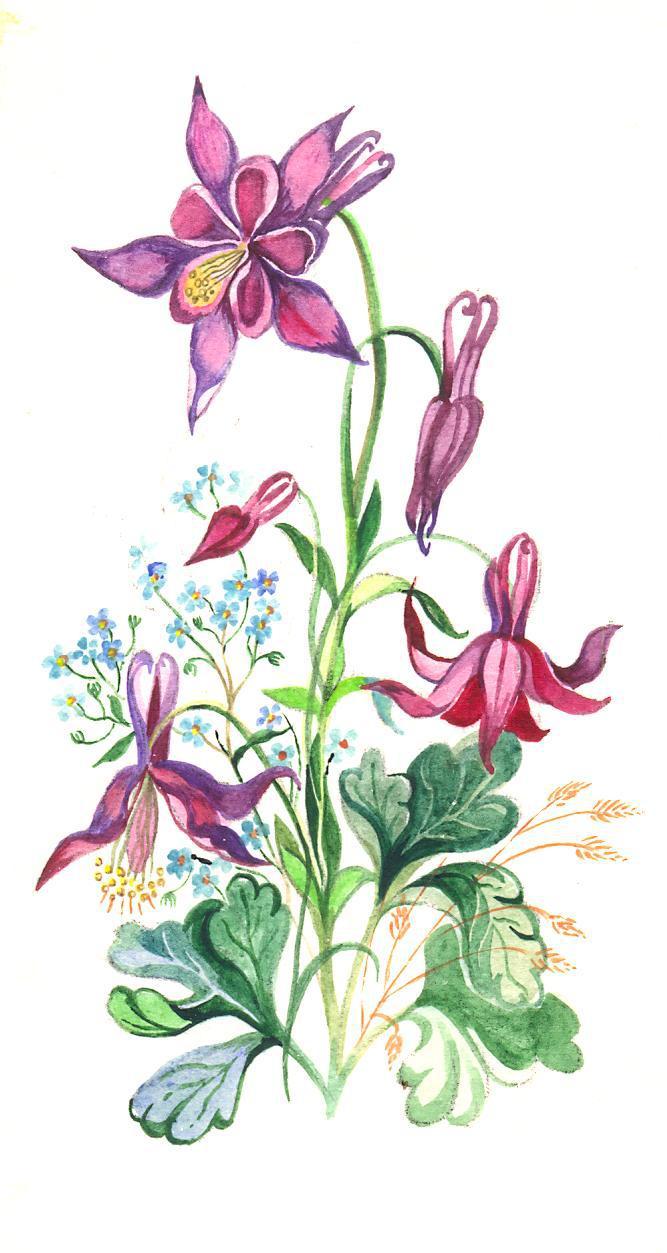 Main 382949 original