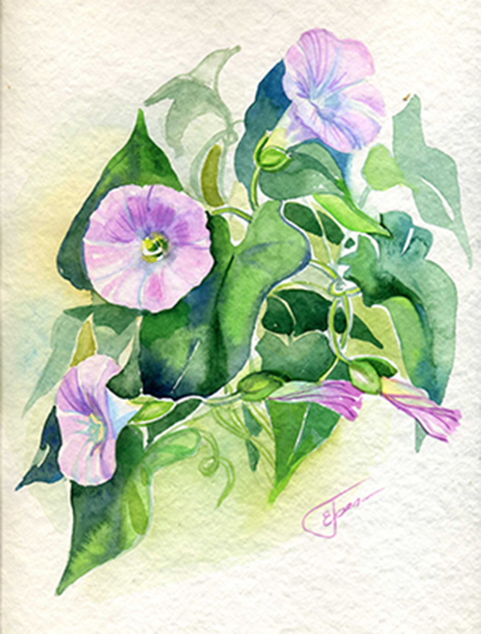 %d0%b2%d1%8c%d1%8e%d0%bd%d0%be%d0%ba 1