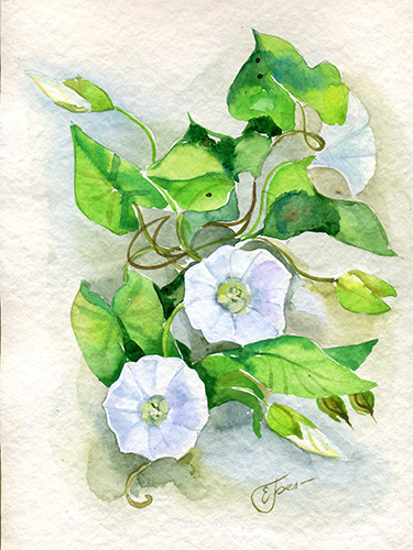 %d0%b2%d1%8c%d1%8e%d0%bd%d0%be%d0%ba 2