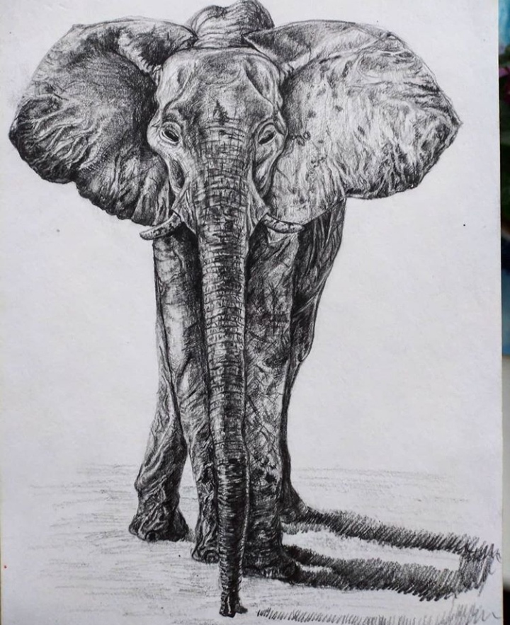 Screenshot 20200927 005658