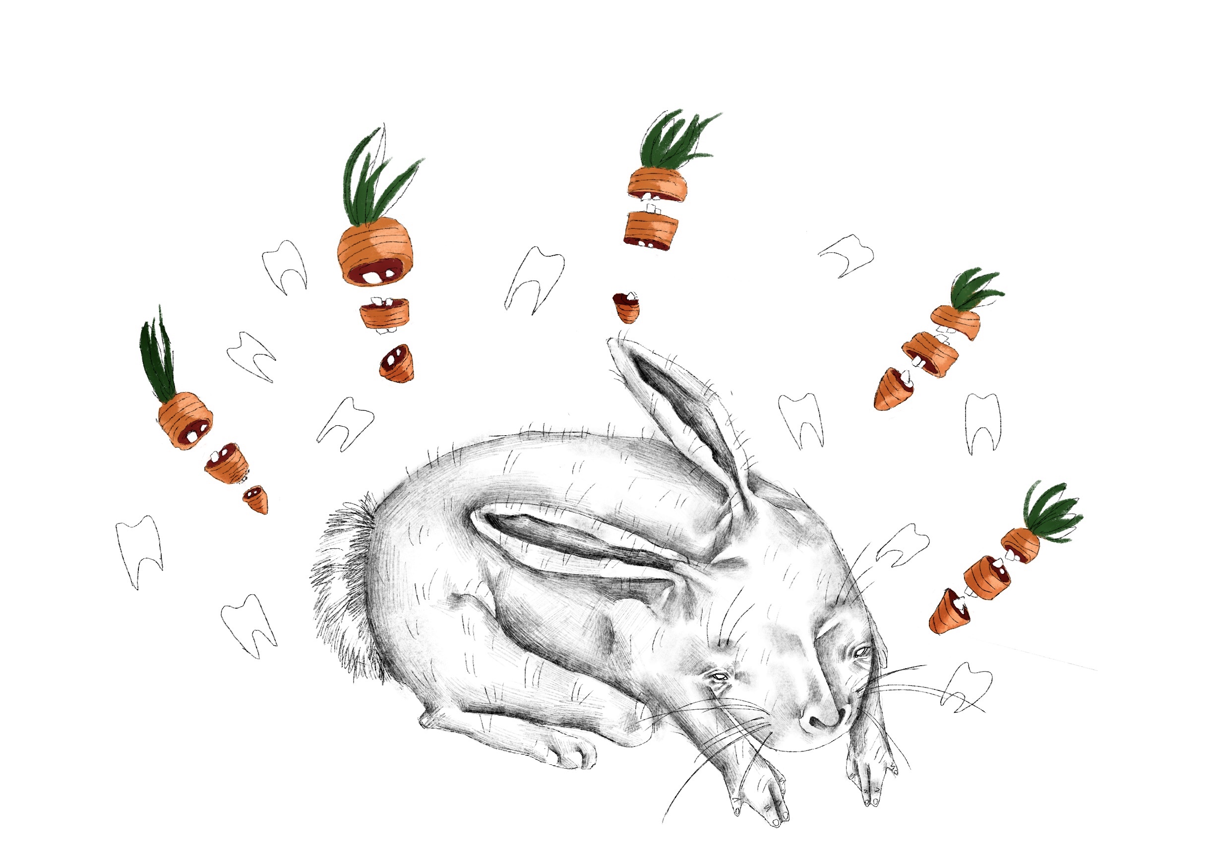 28480eaf 25dd 4f3f b8df 0cfeb75d7fe1