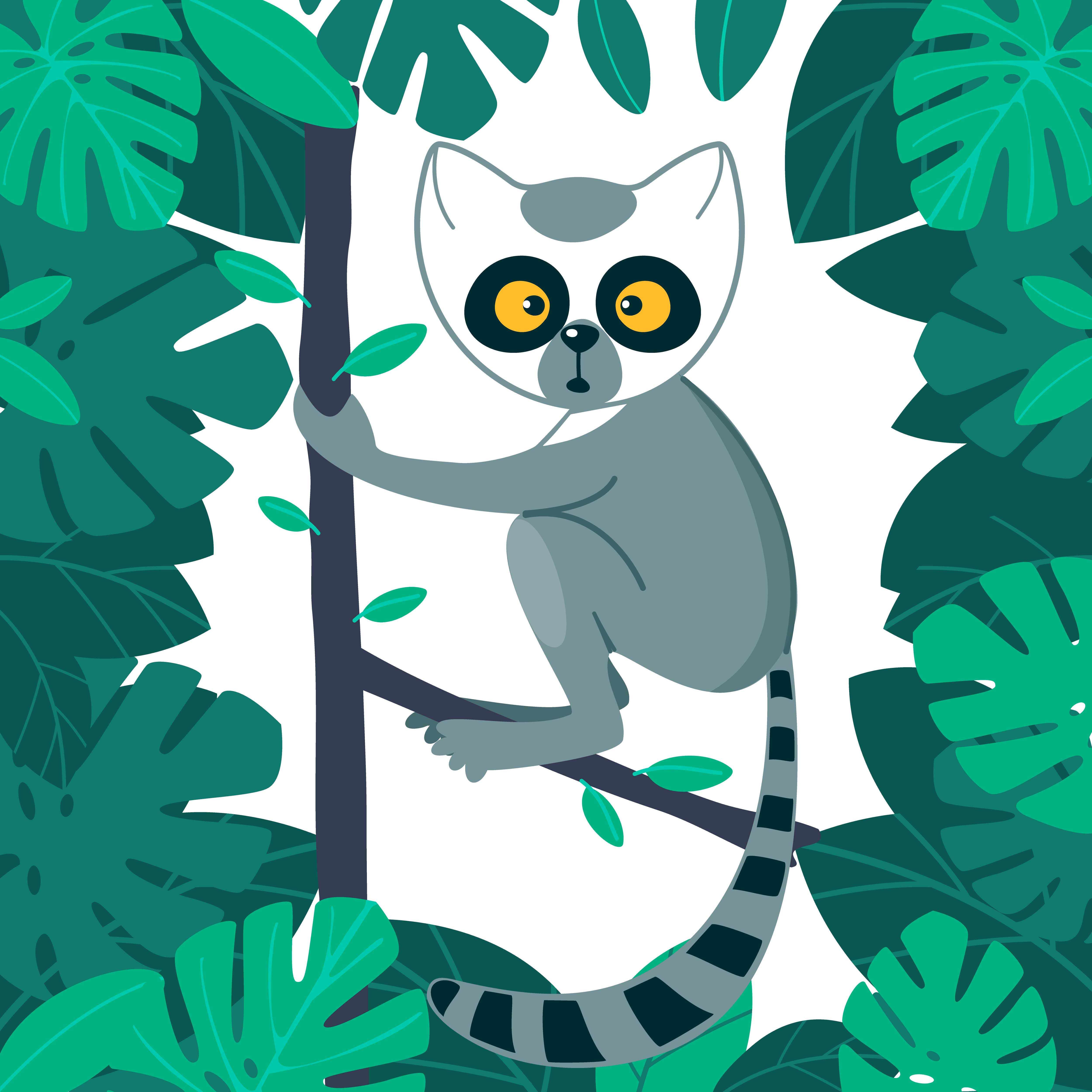 Lemur forest