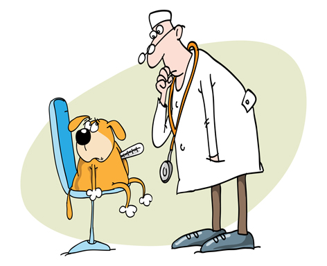 Veterinar