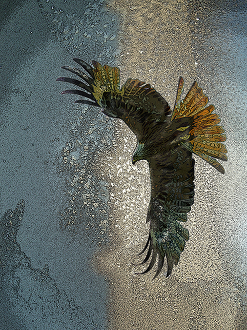     %d0%9e%d1%80%d1%91%d0%bb  %d0%93