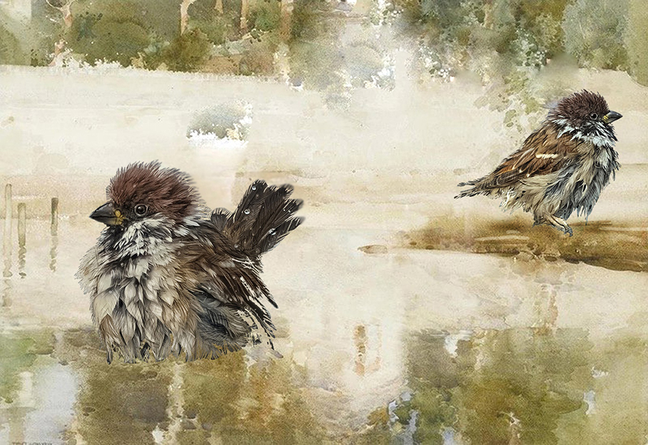    %d0%b2%d0%be%d1%80%d0%be%d0%b1%d1%8c%d0%b8 %d0%bf%d0%be%d1%81%d1%82%d0%b0%d0%b2%d0%b8%d1%82%d1%8c