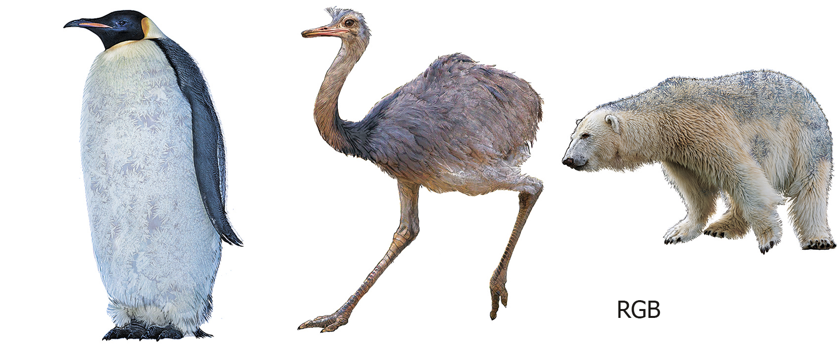 Rgb %d0%bf%d1%80%d0%b8%d0%bc%d0%b5%d1%80