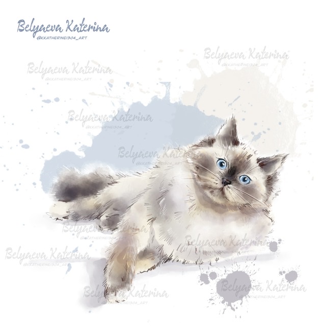 5508a1a8 091a 405b 81ef 354d7c2ba807