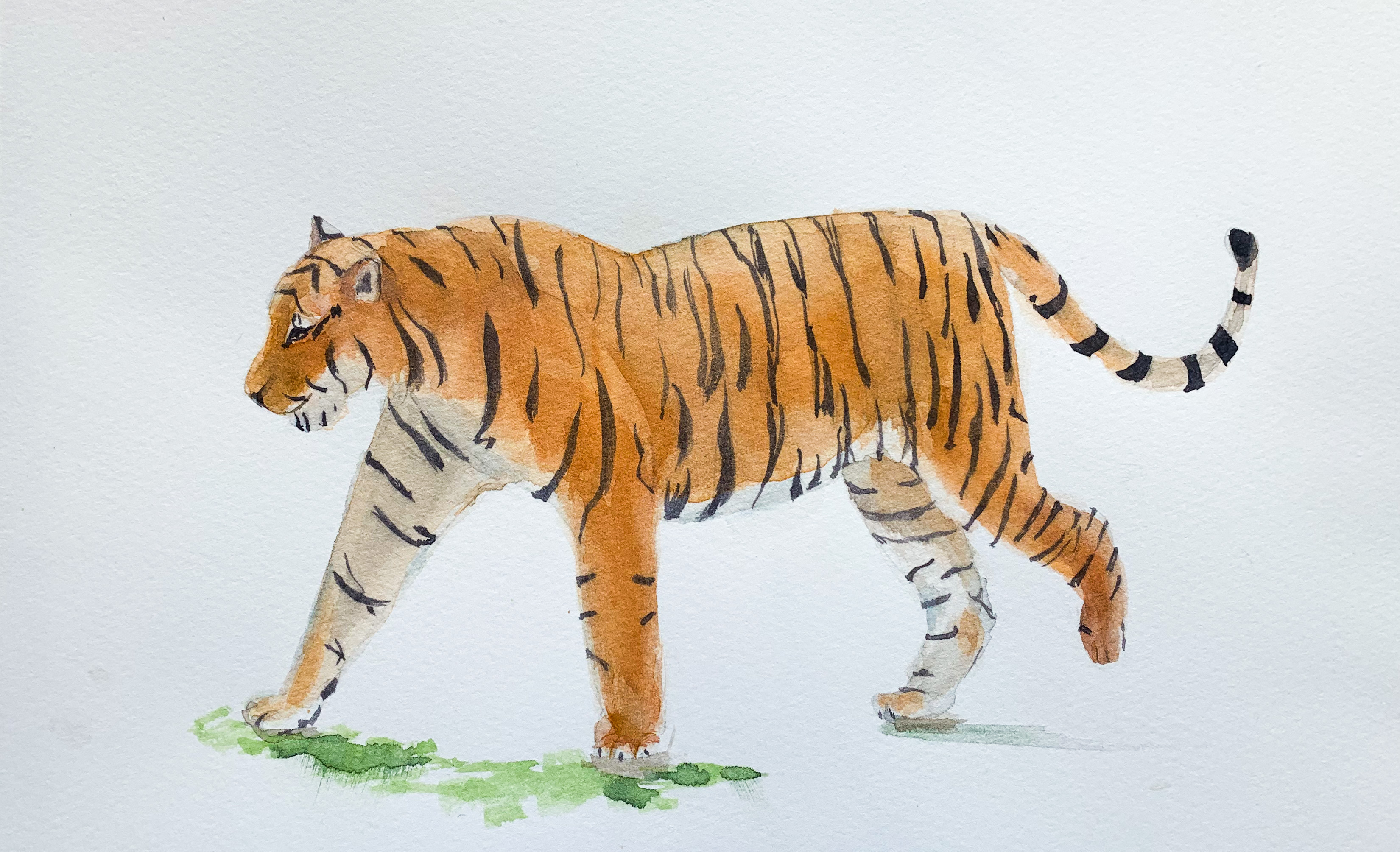 0d1ed81b 65d7 4bd3 9ca6 a723102c77c7