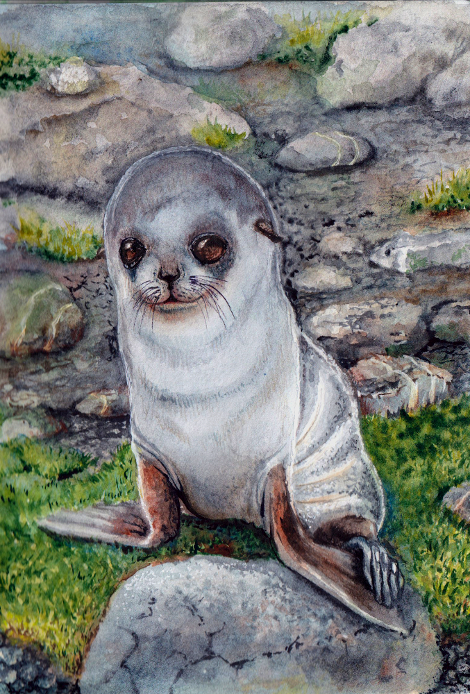 %d0%ba%d0%be%d1%82%d0%b8%d0%ba%d0%bc%d0%b8%d0%bd%d0%b8 %d0%bf%d1%80%d0%b5%d0%b2%d1%8c%d1%8e