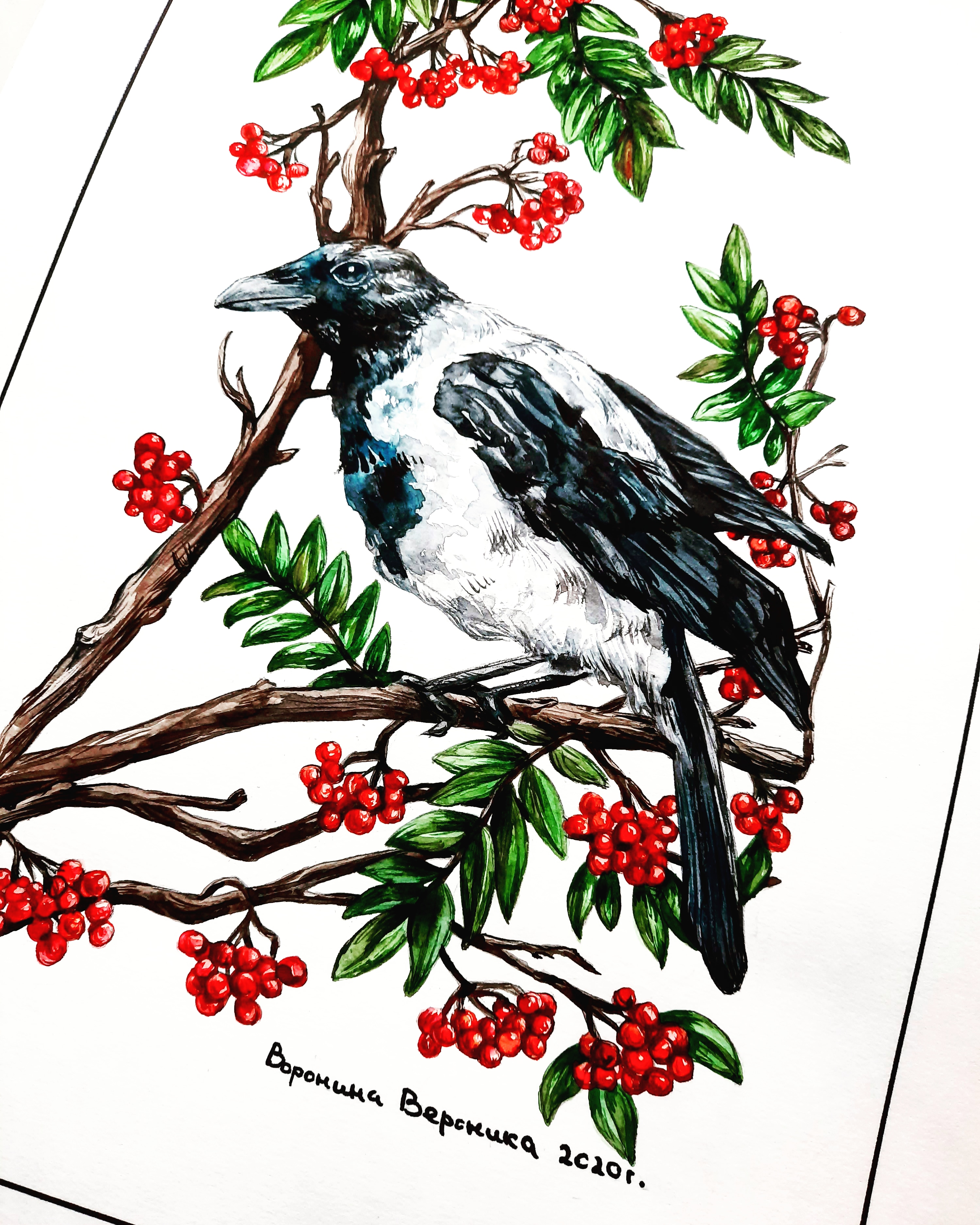 Img 20201022 170219 609