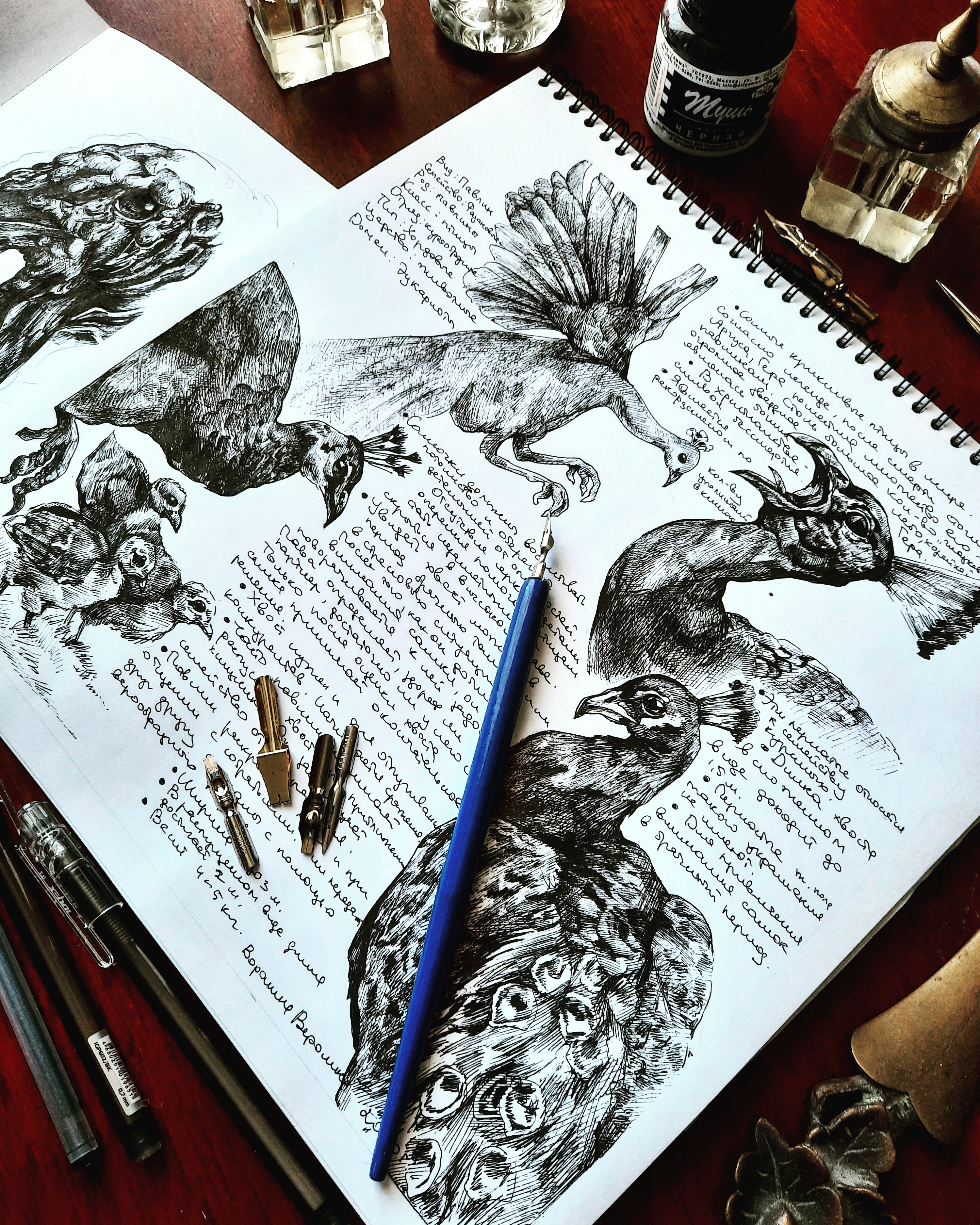 Img 20200915 094004 909