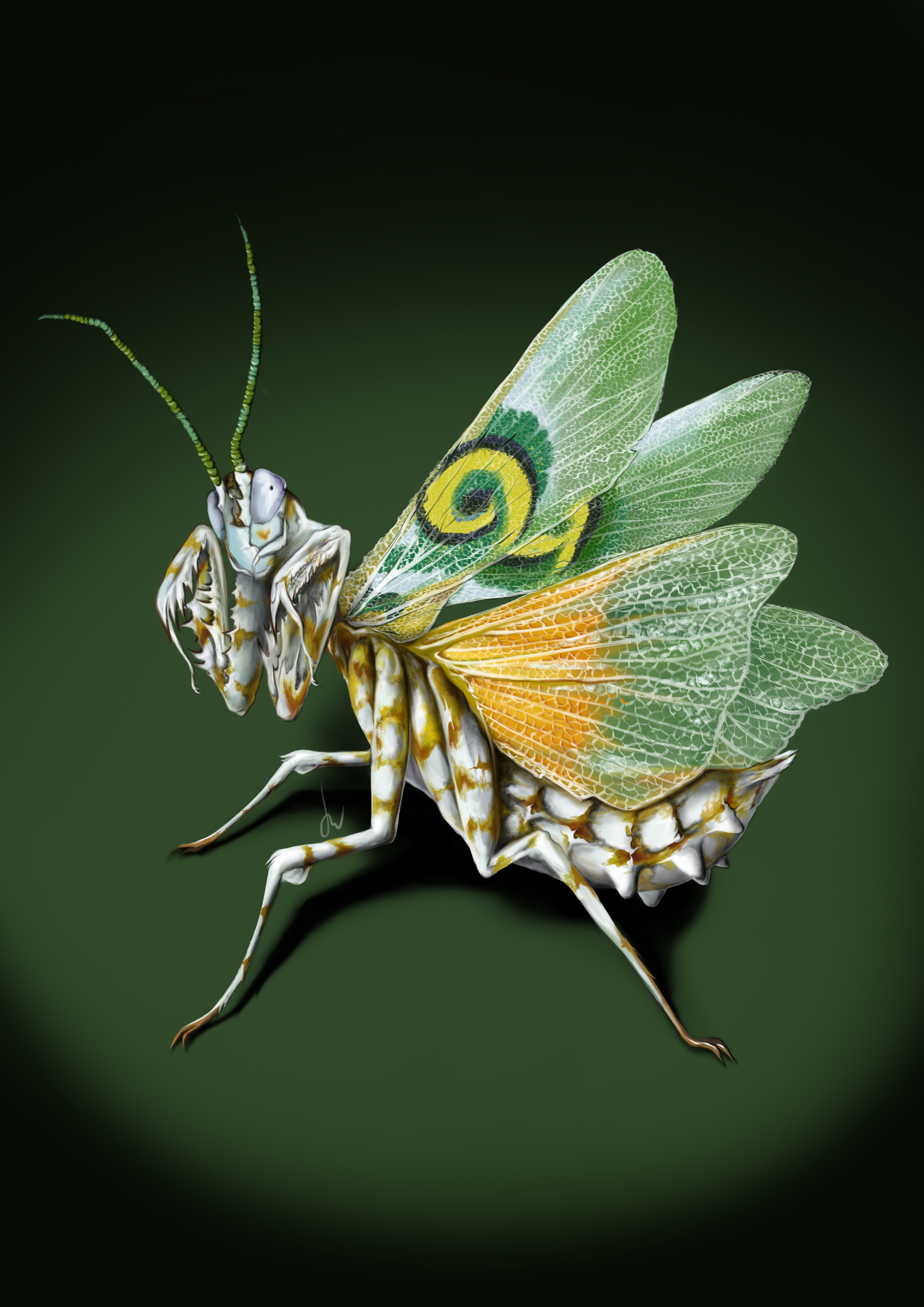 %d0%b1%d0%be%d0%b3%d0%be%d0%bc%d0%be%d0%bb1