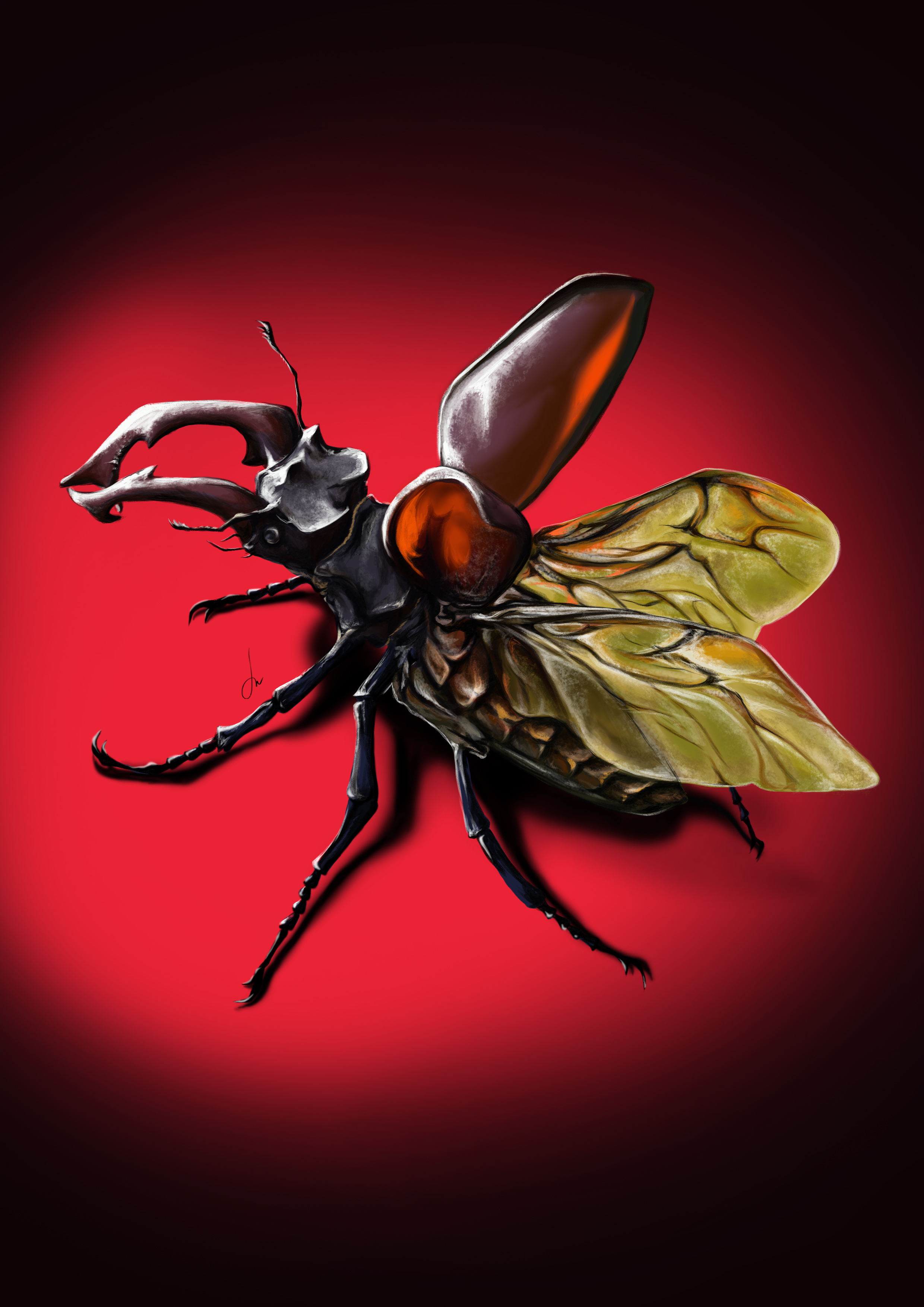 %d0%b6%d1%83%d0%ba %d0%be%d0%bb%d0%b5%d0%bd%d1%8c1