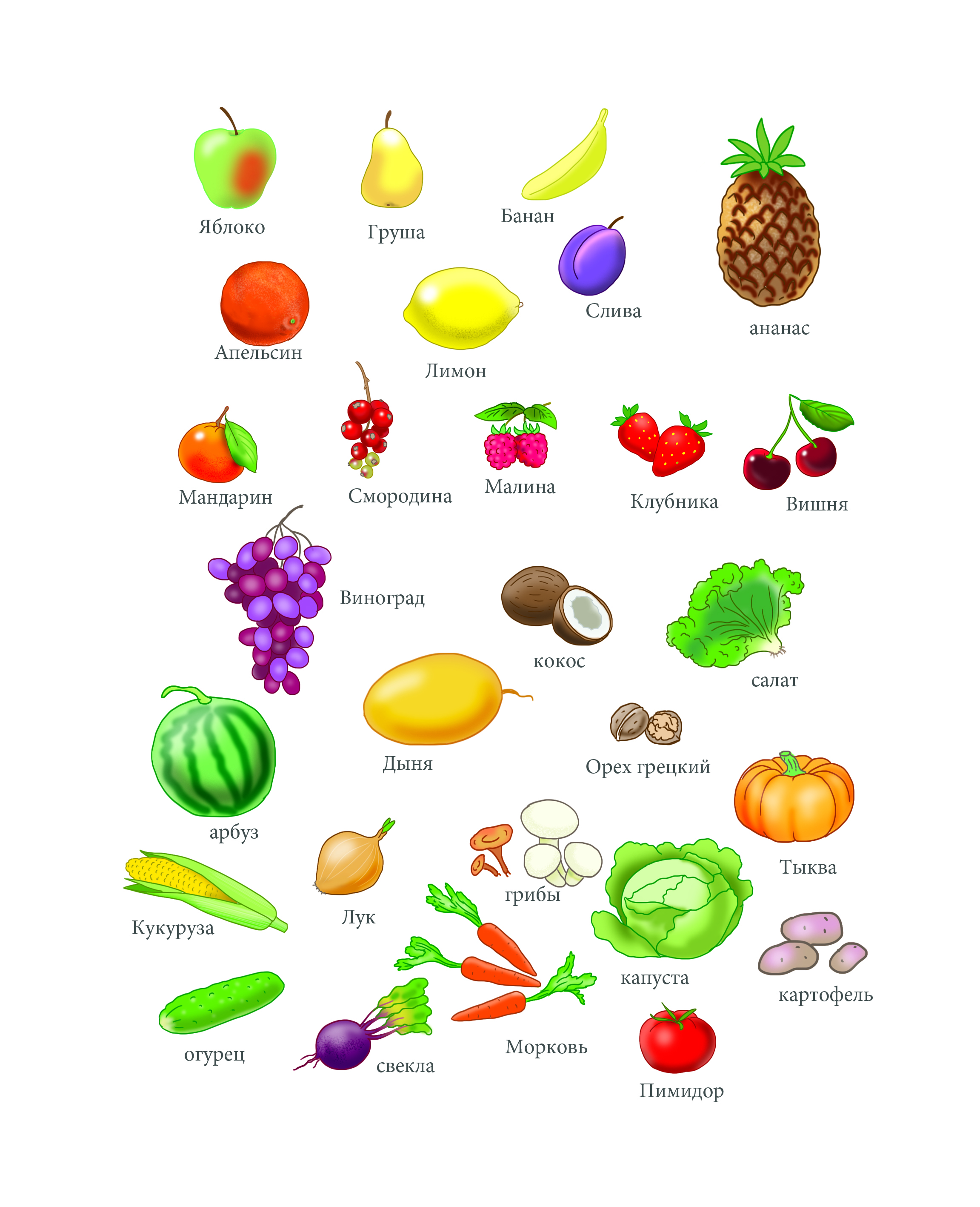 55%d1%84%d1%80%d1%83%d0%ba%d1%82%d1%8b %d0%be%d0%b2%d0%be%d1%89%d0%b8