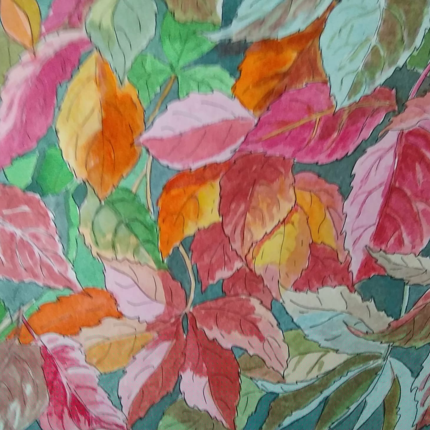 Img 20201013 233522 204