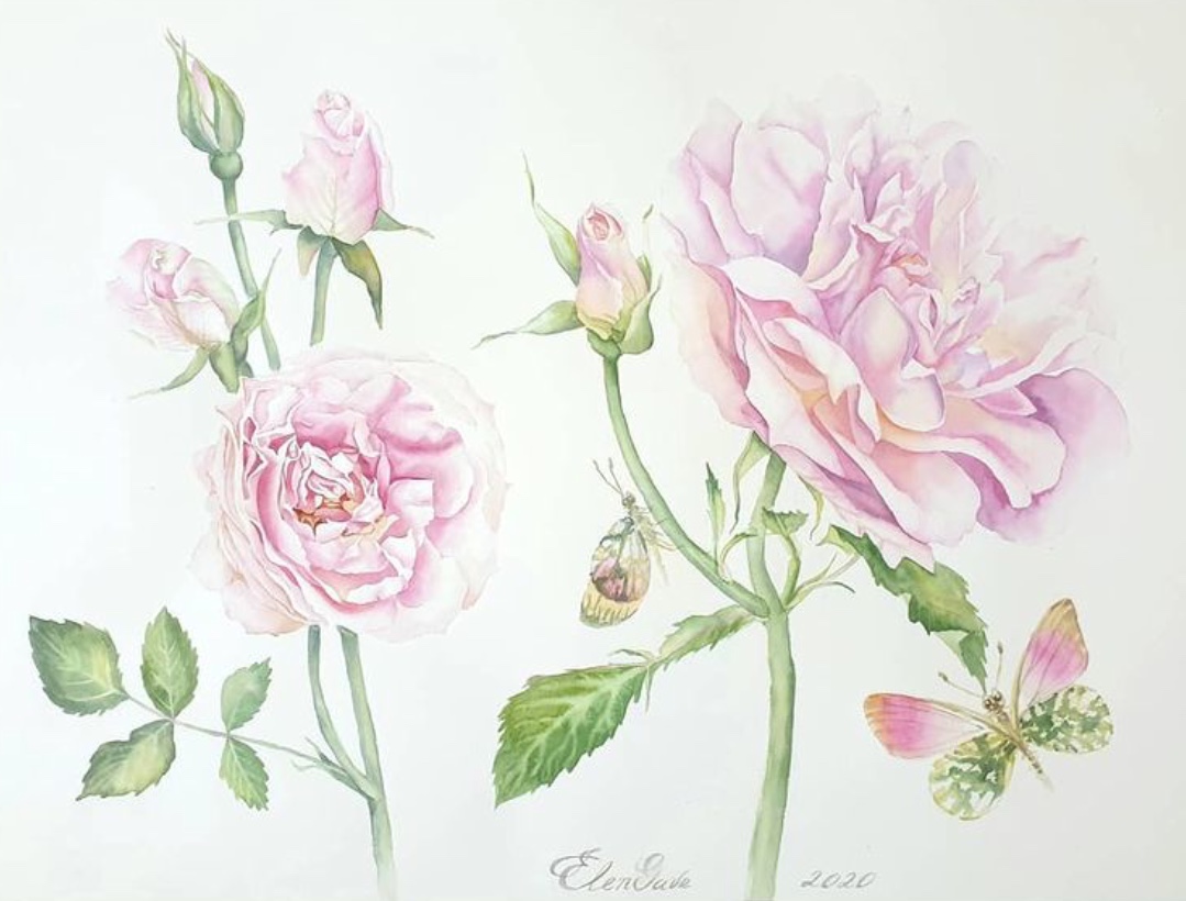 7ac4d81d bbc8 43ed b298 9600076c8630